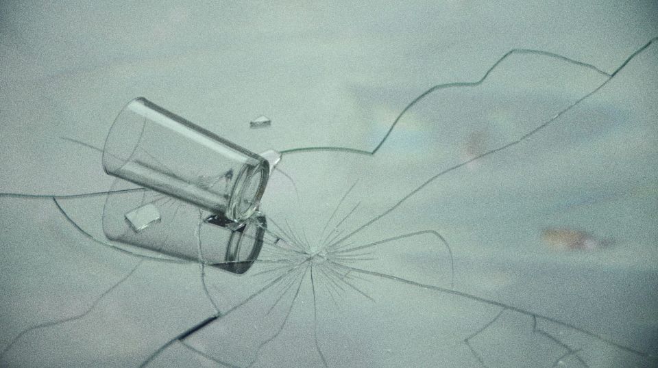 Los Nadadores - Ganadora de la Mención de Honor en el CRFIC10 “Por ser un ejercicio formal, arriesgado y fresco, que evidencia un conocimiento de los recursos cinematográficos y apuntan hacia una prometedora trayectoria de un realizador con una voz original.”