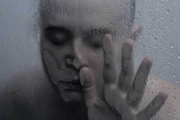 FESTIVAL_INTERNACIONAL_CINE