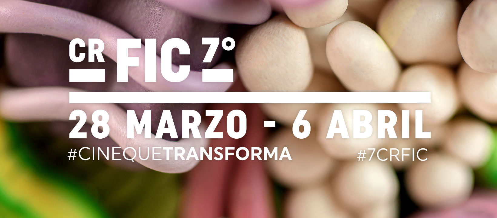 FESTIVAL_INTERNACIONAL_CINE