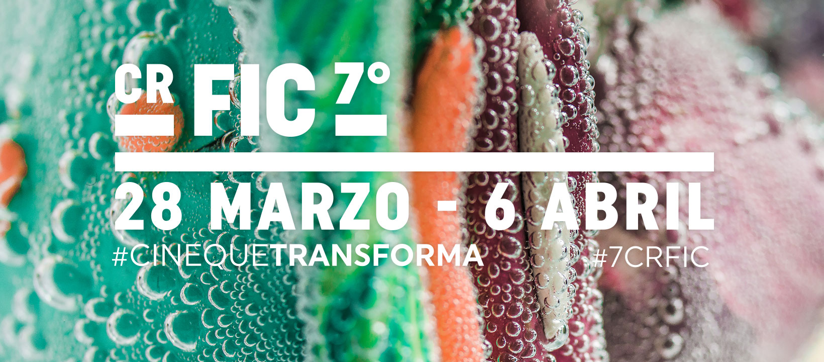 FESTIVAL_INTERNACIONAL