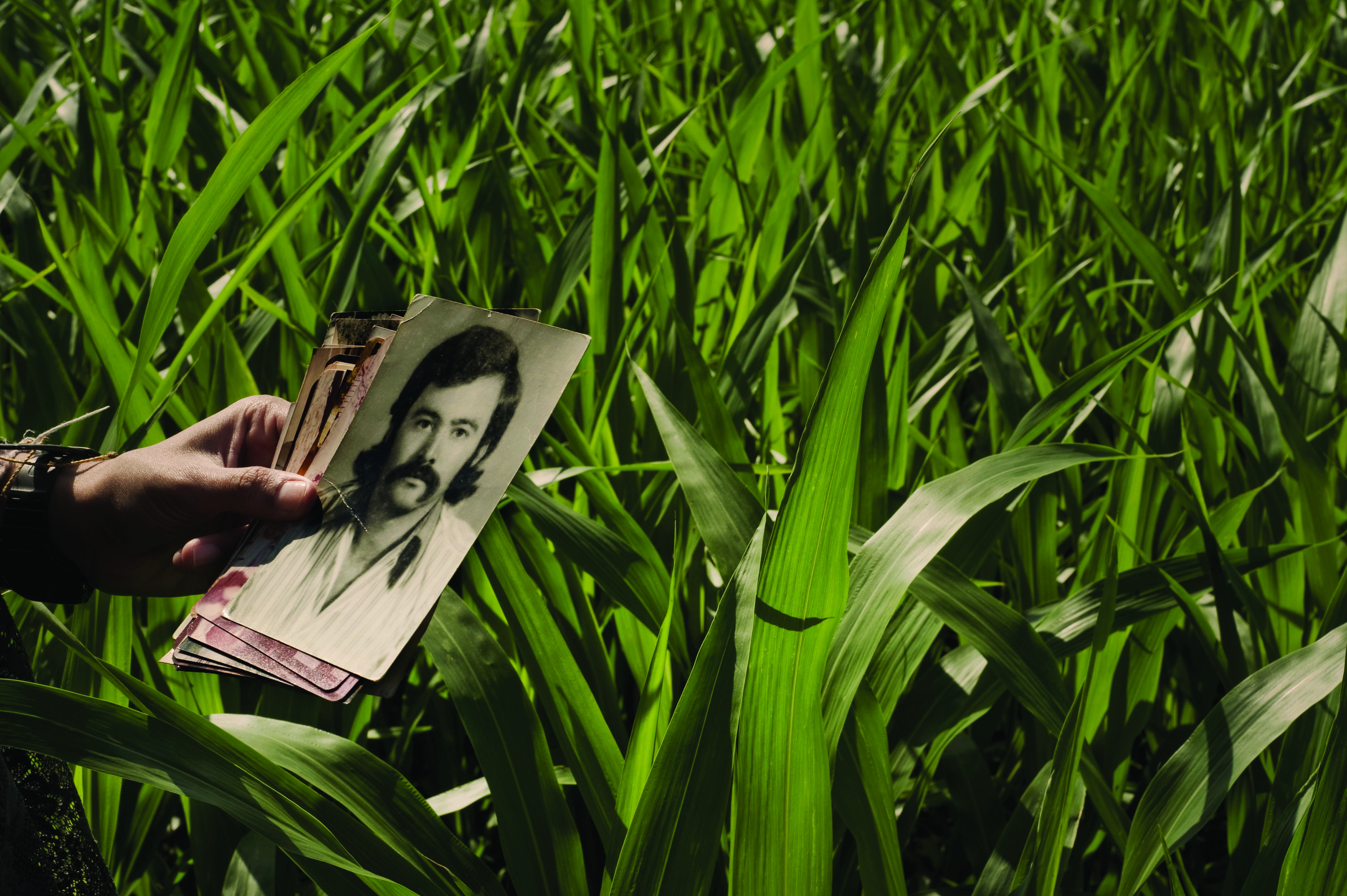 FESTIVAL_INTERNACIONAL_CINE