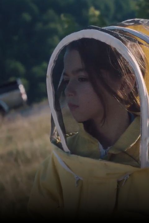 20.000 especies de abejas