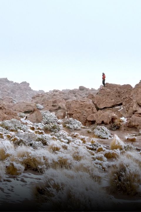 Luminoso espacio salvaje