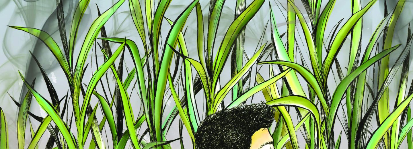 Afiche película Lo que trajo la zafra