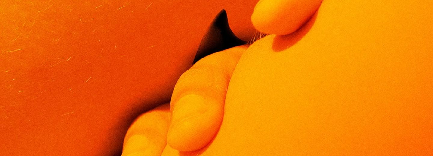 Afiche película Los tiburones