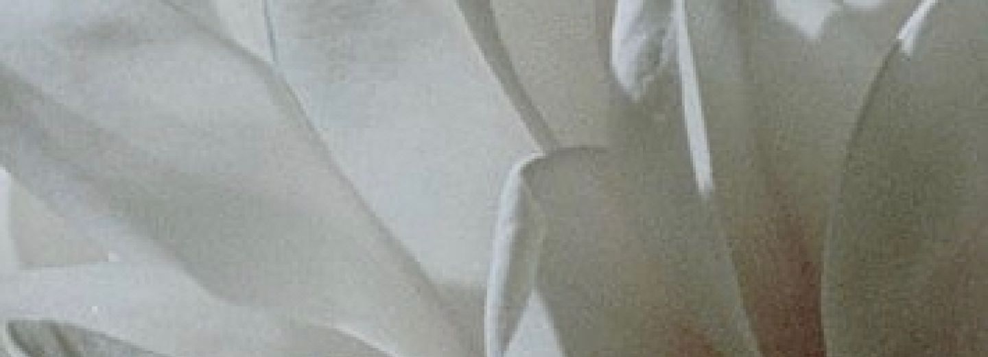 Afiche película The Oblique