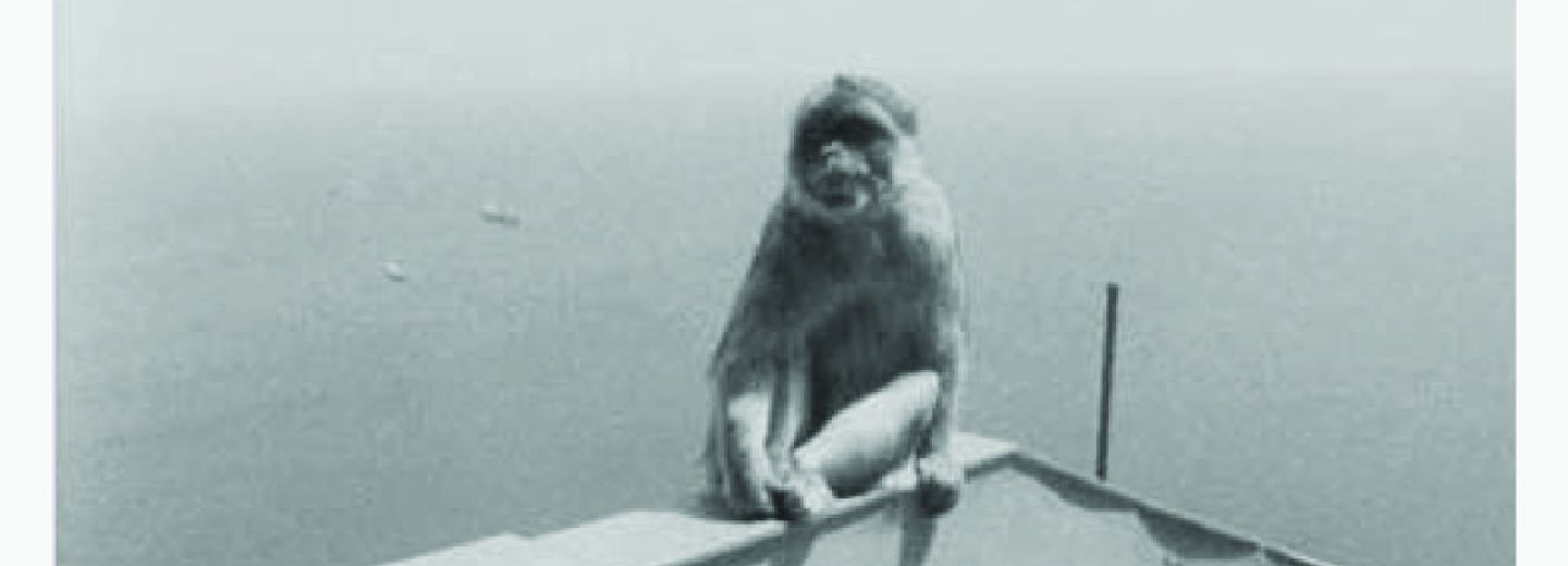 Afiche película Gibraltar