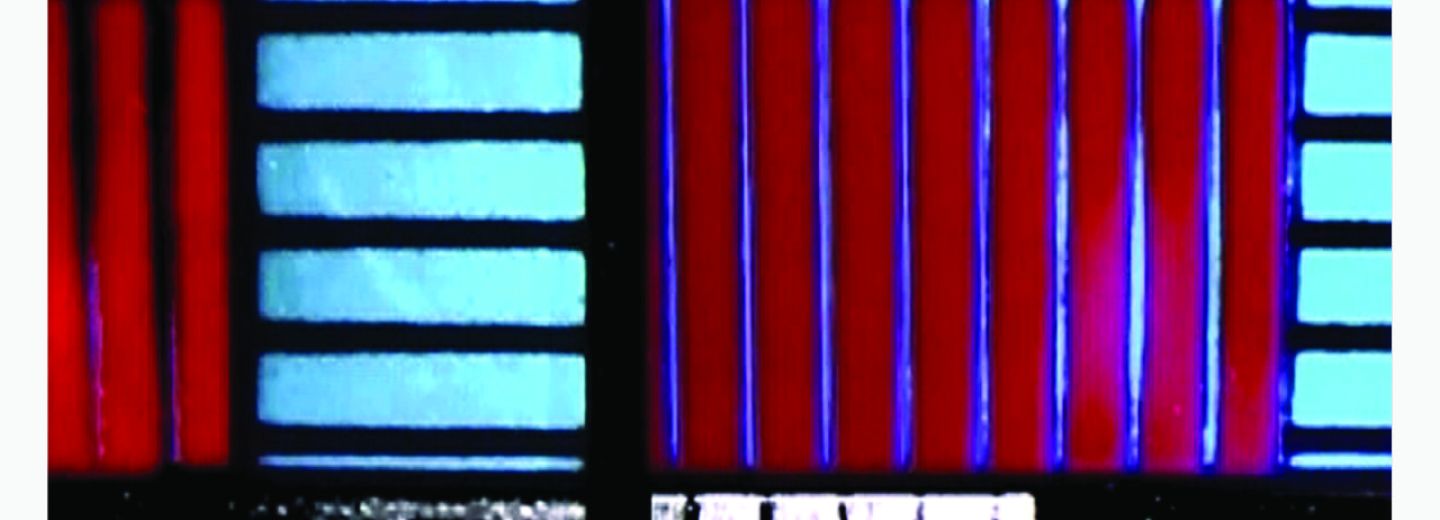 Afiche película Dresden Dynamo