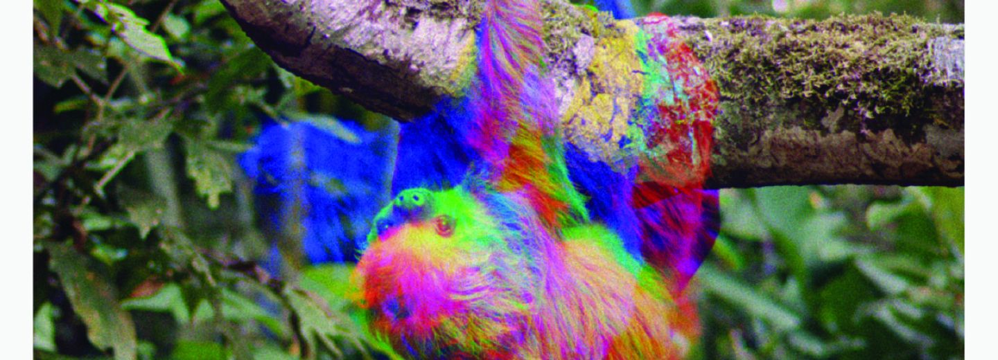 Afiche película now, at last!