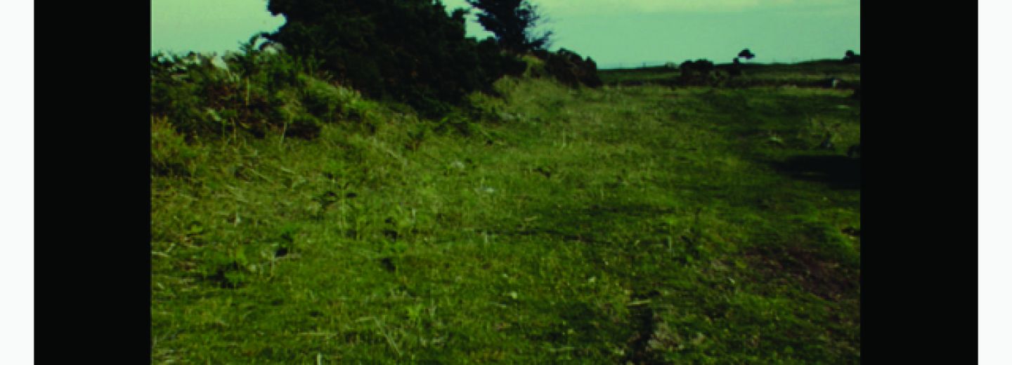 Afiche película Breath