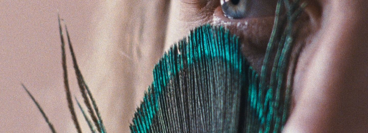 Still película A metamorfose dos pássaros