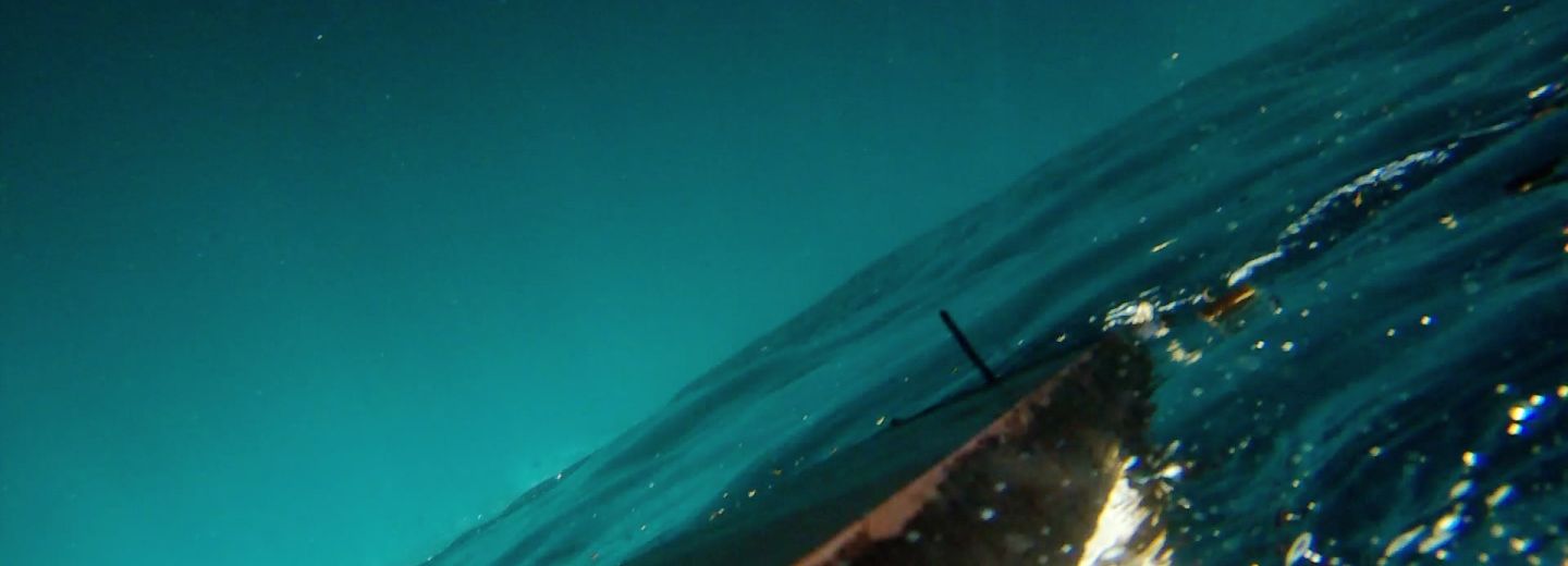 Still peliícula Purple Sea