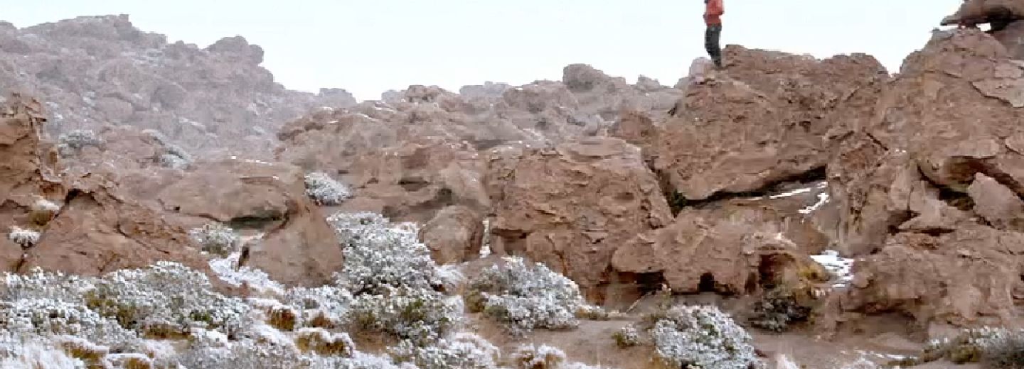 Luminoso espacio salvaje