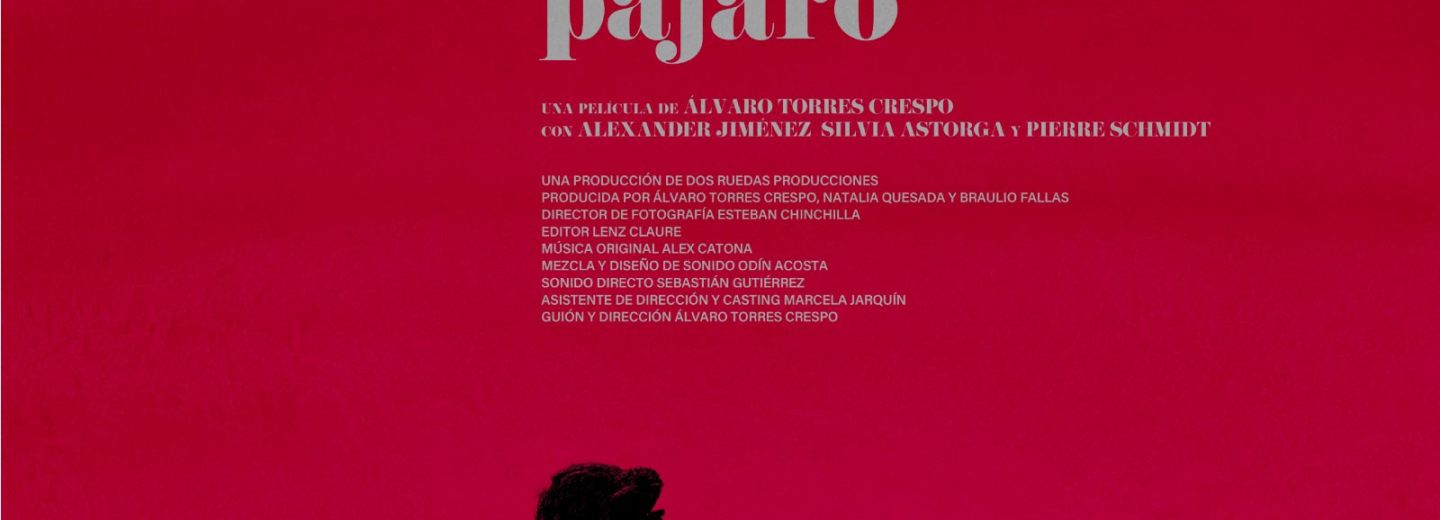 No solo es hermoso el pajaro