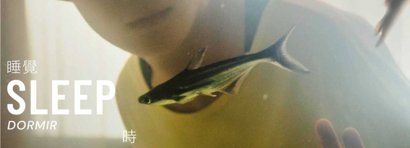 SLEEP WITH YOUR EYES OPEN