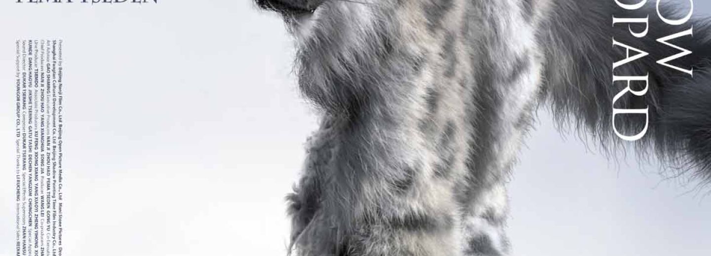 SNOW LEOPARD