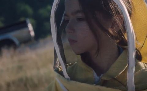 20.000 especies de abejas