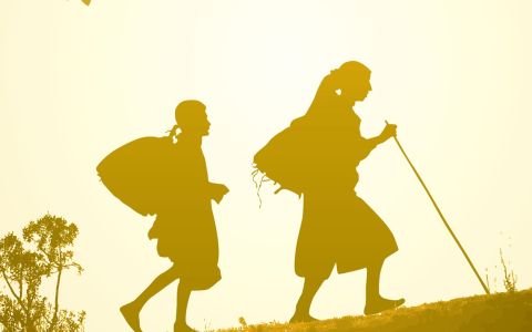 Afiche película Honeyland