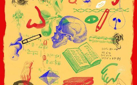 Afiche película Las facultades