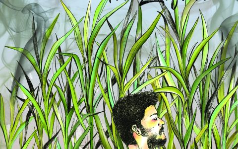 Afiche película Lo que trajo la zafra