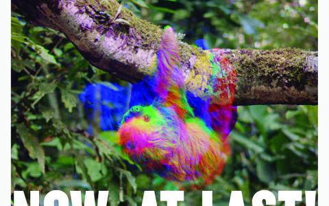 Afiche película now, at last!