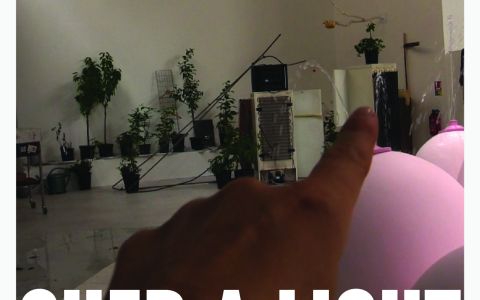 Afiche película Shed a Light