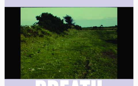 Afiche película Breath