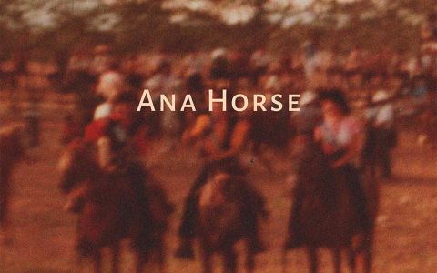 Ana Horse