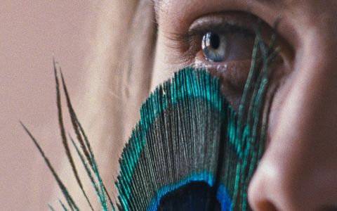 Still película A metamorfose dos pássaros