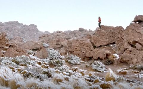 Luminoso espacio salvaje