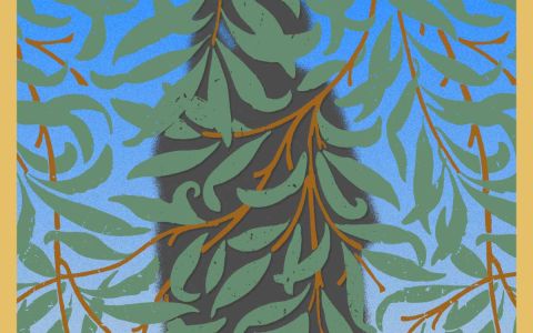 Muertes y maravillas