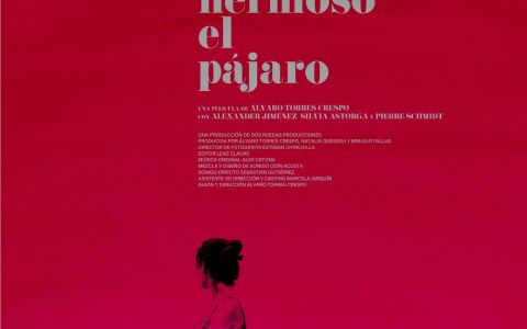 No solo es hermoso el pajaro